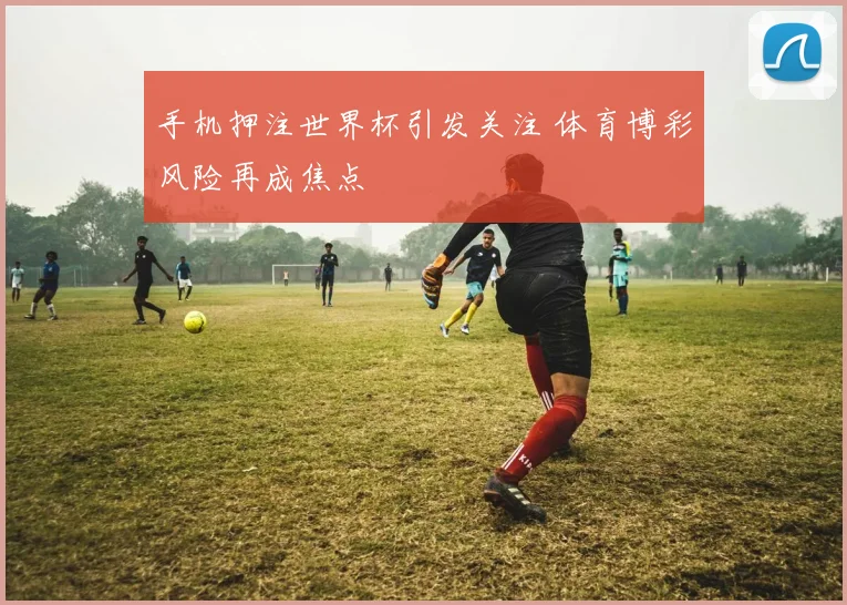 手机押注世界杯引发关注 体育博彩风险再成焦点