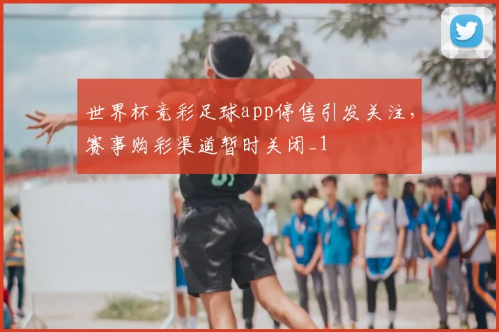 世界杯竞彩足球app停售引发关注，赛事购彩渠道暂时关闭_1