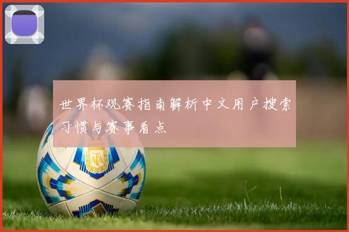 世界杯观赛指南解析中文用户搜索习惯与赛事看点