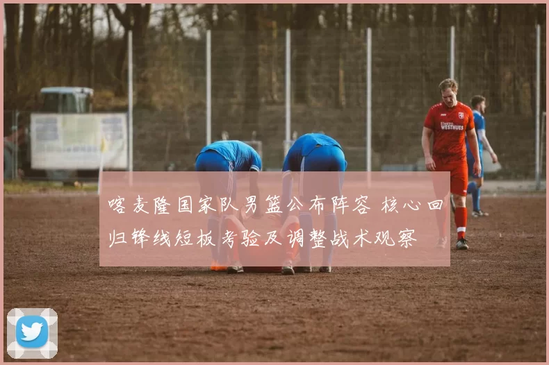 喀麦隆国家队男篮公布阵容 核心回归锋线短板考验及调整战术观察