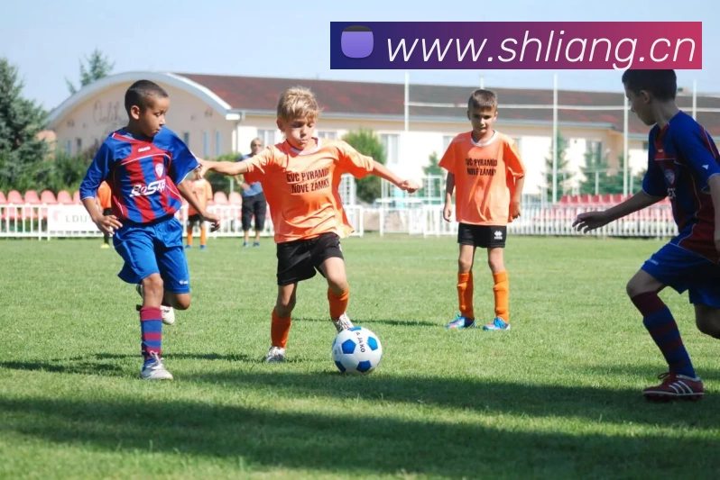 星空网页版登录入口平台生态图