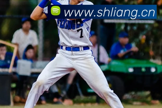 星空网页版登录入口全站App